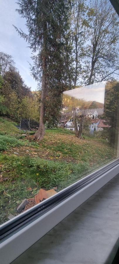 Sm Apartment Triberg im Schwarzwald Ngoại thất bức ảnh